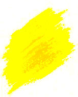 zolty2
