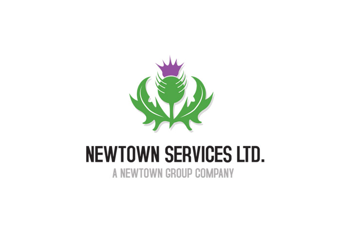 logo dla firmy rekrutacyjnej- Newtown services