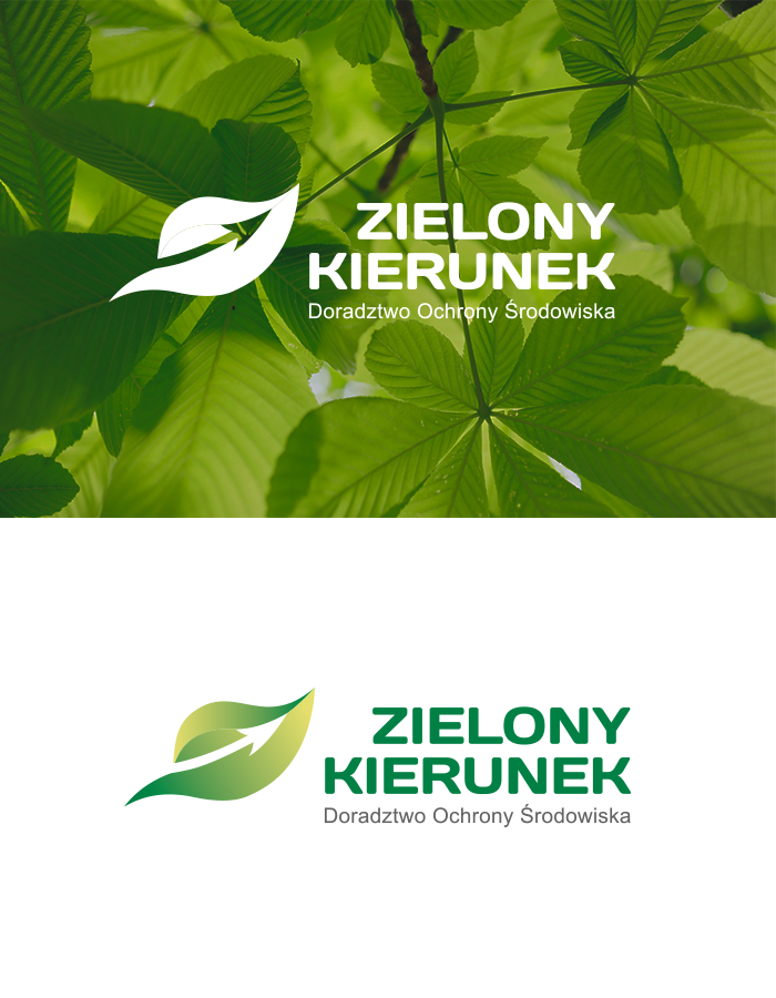 logo dla firmy doradczej