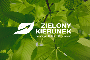 Zielony kierunek / projekt logo