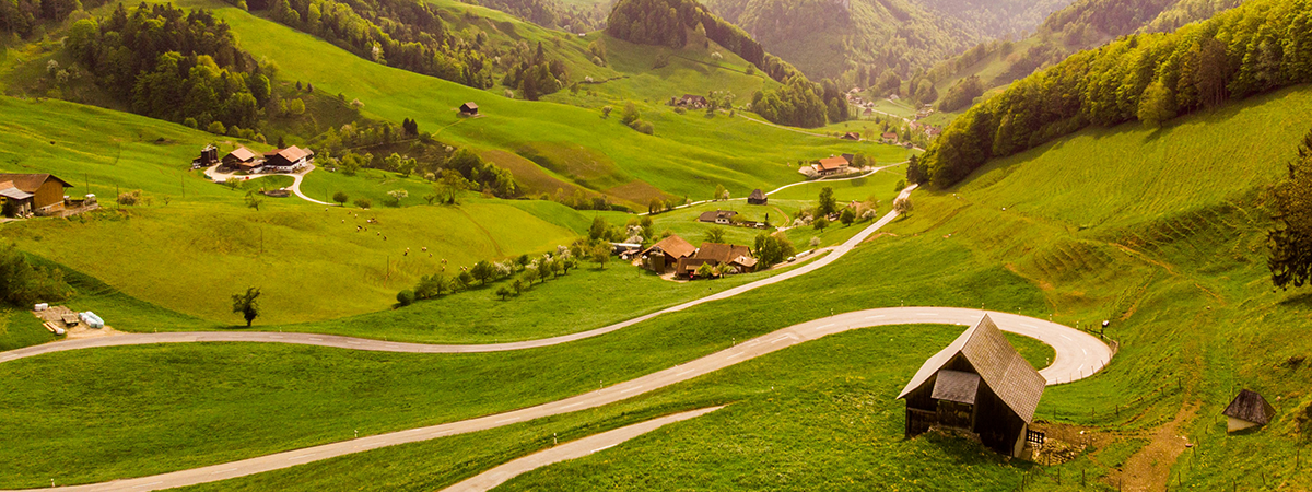 Logo dla agroturystyki