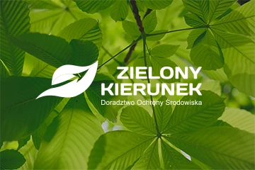Zielony kierunek / projekt logo